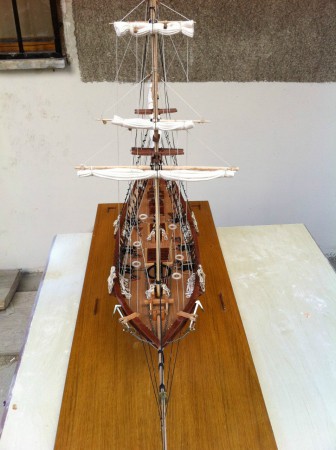 Albatros